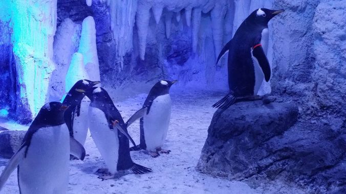 2018-01-23 14.29.34_preview.jpeg