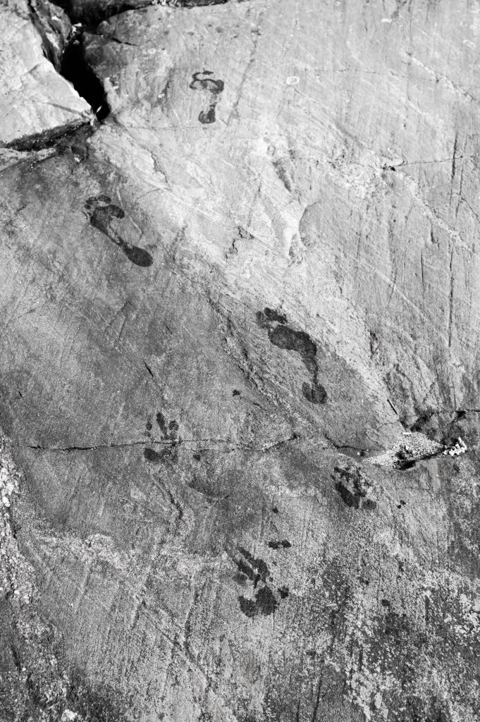 Rantakalliolla on märät jalanjäljet, jotka ovat ensin eläimen ja sitten jatkuvat ihmisen jälkinä.